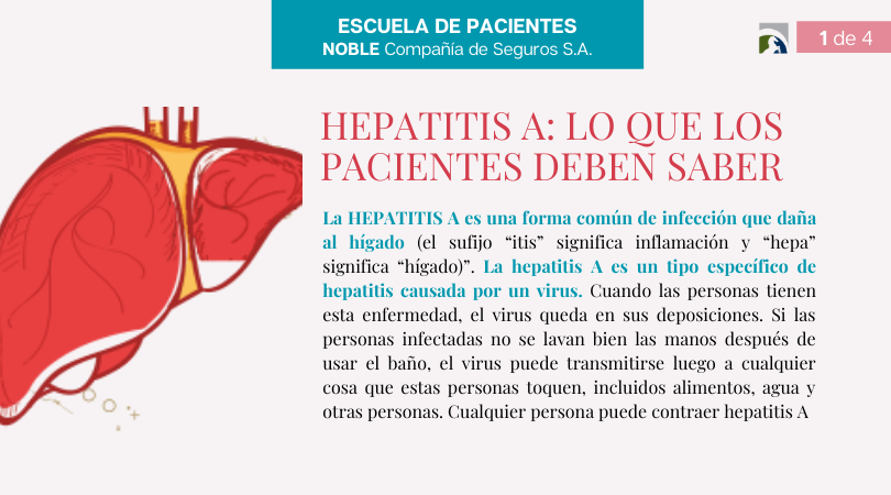 HEPATITIS A LO QUE LOS PACIENTES DEBEN SABER NOBLE SEGUROS